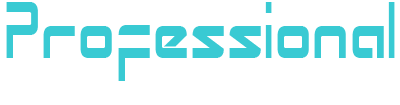 Professional HRM Services Logo